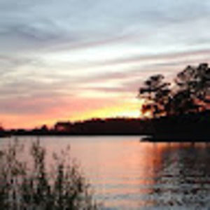 Meet your Posher, Colton